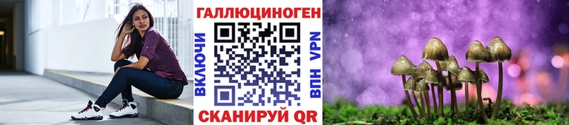 Галлюциногенные грибы Magic Shrooms  Купить закладки  Новотитаровская 